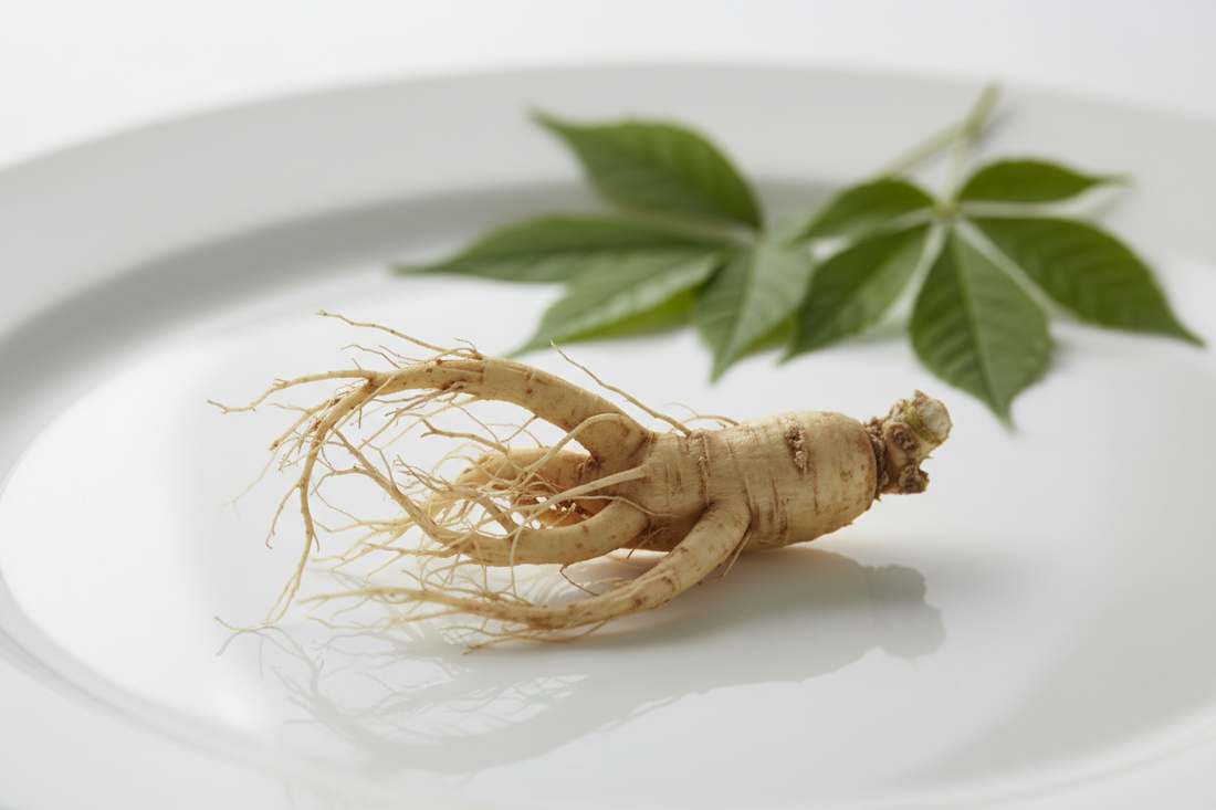 Panax Ginseng & Ginkgo Biloba: The Complete Guide to Energy, Performance & Heart Health