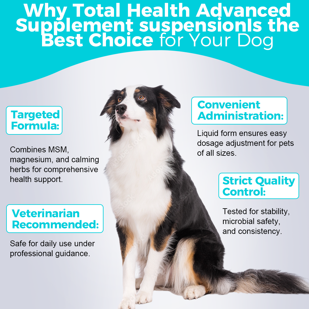 Dog Total Health Advanced Supplement Suspension - 240mL