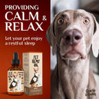 Charlie Buddy   H–µmp Oil for Dogs Cats   Hi—Ä and J–æint Supp–ært and