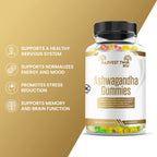 Ashwagandha Gummmy for Natural Stress Relief