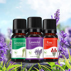 Aromatherapy Essential Oils Water Soluble Oil Diffuser Aromatherapy - Rose, Lavender,Lemon, Peppermint, Lemongrass, sandalwood,