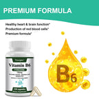 Vitamin B6 Supplements - Supports The Immune System, Nervous System, Energy Metabolism, Healthy Mood - Path to Self-Improvement