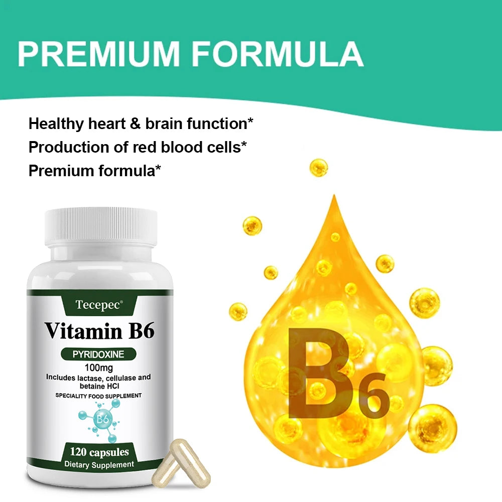 Vitamin B6 Supplements - Supports The Immune System, Nervous System, Energy Metabolism, Healthy Mood - Path to Self-Improvement