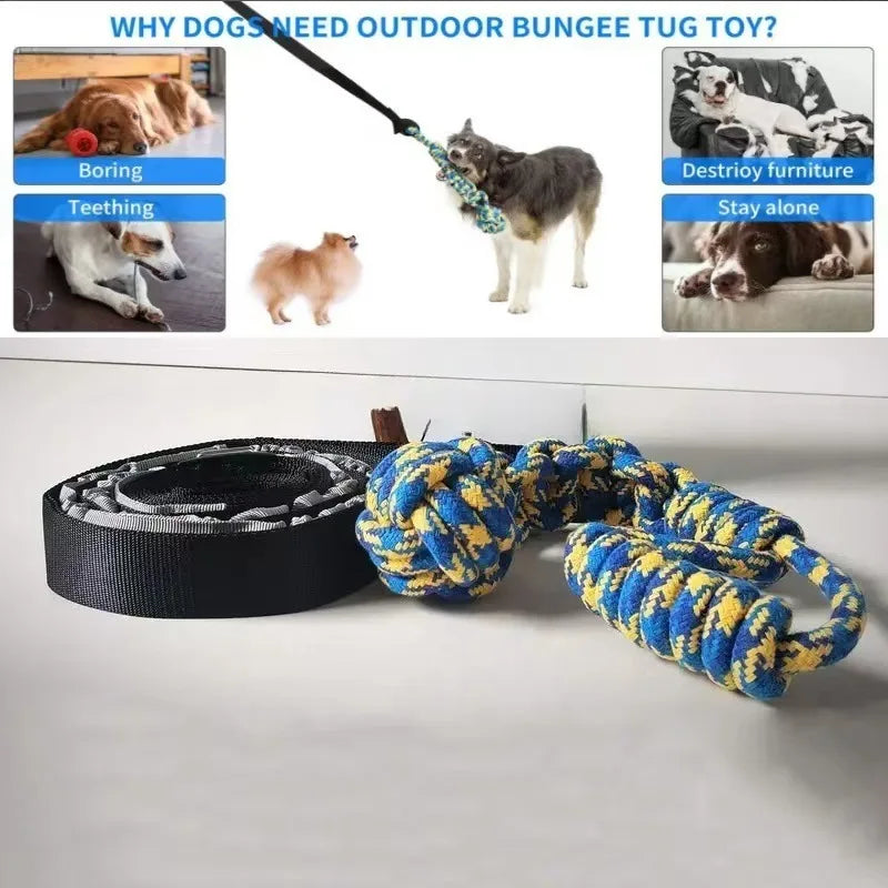 Outdoor Bungee Tug Toy, Dog Toy Hanging from Tree for Small to Large Dogs, Interactive Exercise Play Cord & Tether with Chew Rop - Path to Self-Improvement