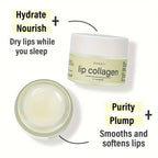 20g Plant stem cells Vitamins E & A Collagen Lip Butter - Path to Self-Improvement