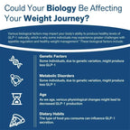 GLP-1 Support - Promotes Digestion and Gut Health, Controls Hunger, Boosts Metabolism, Strengthens Immunity, Non-GMO