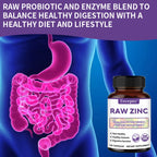 Zinc Vitamins - Raw Zinc Whole Food Supplement with Vitamin C, Vegetarian, for Skin Health, Immune & Digestive Function