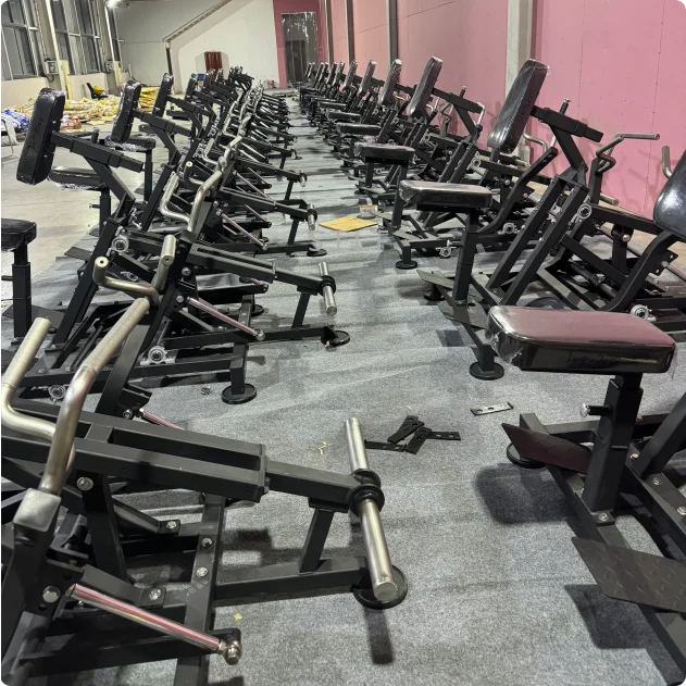 Future Power X Pulead Weight Lifting Equipment Gym Equipment Plate Loaded Flex Row Dual Handle Strength Machine