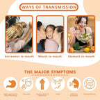 Sciatica Pain Relief Brace with Adjustable Knob and 2 Versions Pressure Pad for Max Sciatica Nerve, Lower Back & Hip Pain Relief - Path to Self-Improvement