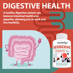 Berberine Capsules - 2000mg, Supports Bone and Cardiovascular Health, Promotes Metabolism, Helps with Energy, Immune System