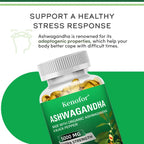 Ashwagandha Supplement - Boosts Brain and Memory, Boosts Energy, Focus, Improves Mood and Sleep - 120 Capsules