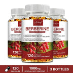 Berberine Capsules - Support Overall Health and Immune Function, Promote Digestion, Enhance Energy, Anti-oxidant and Anti-aging