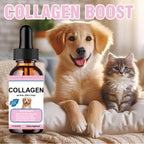Pet Collagen Drops For Dogs And Cats Healthy Nutritional Supplement Protect Coat Enhance Body Condition Pet Nutritional Solution - Path to Self-Improvement