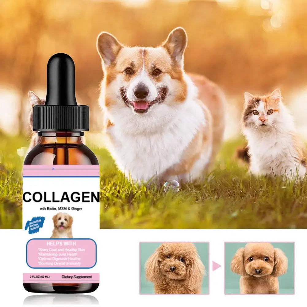 Pet Collagen Drops For Dogs And Cats Healthy Nutritional Supplement Protect Coat Enhance Body Condition Pet Nutritional Solution - Path to Self-Improvement