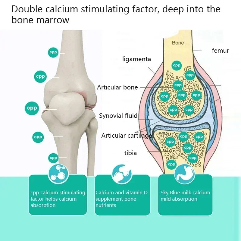 Pet Chondroitin large bone calcium Tablets 180 tablets joint Shu nutritional supplements for dogs daily health care - Path to Self-Improvement
