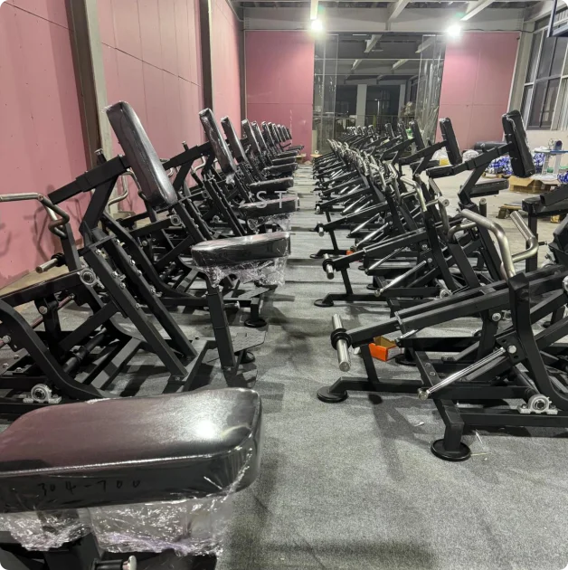 Future Power X Pulead Weight Lifting Equipment Gym Equipment Plate Loaded Flex Row Dual Handle Strength Machine