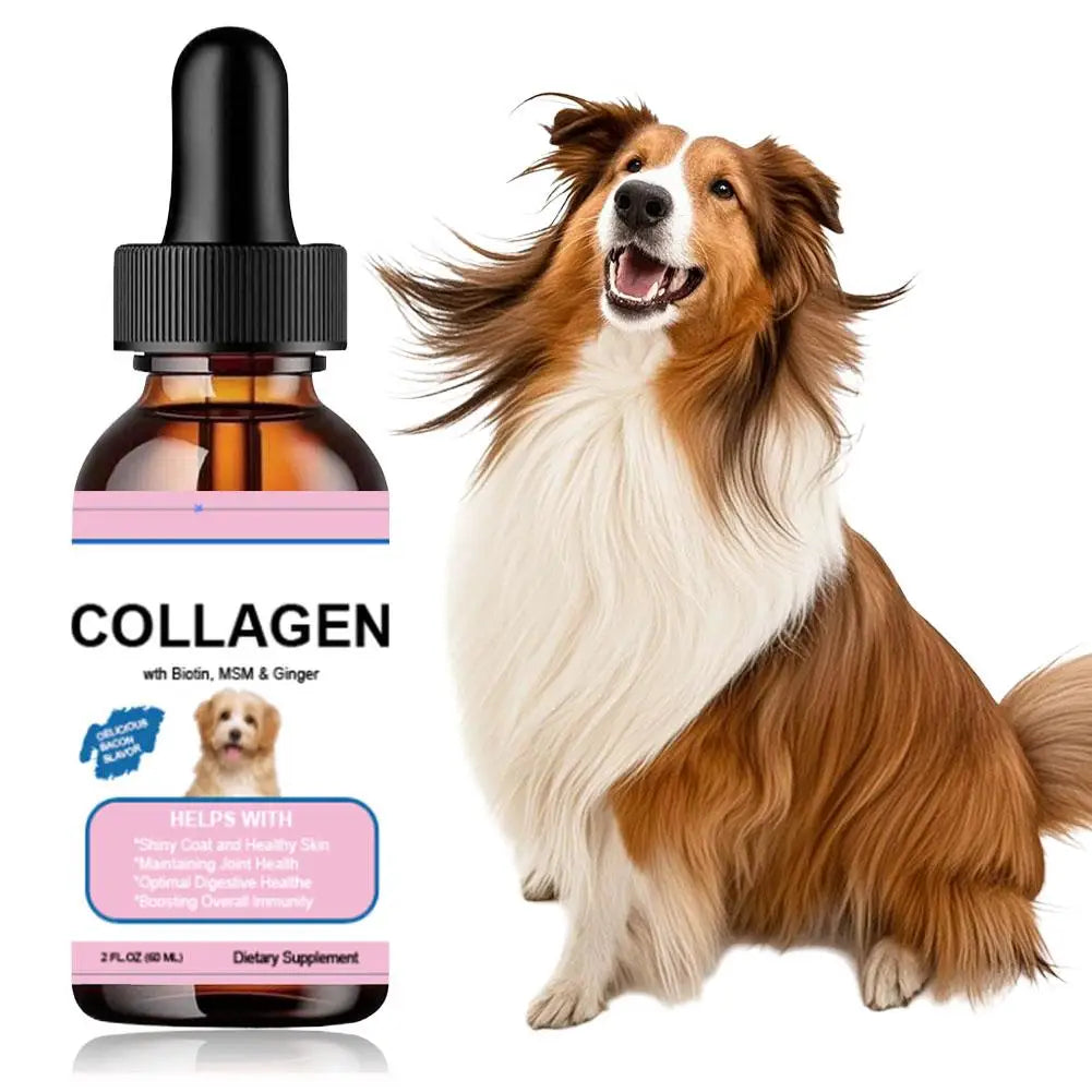 Pet Collagen Drops For Dogs And Cats Healthy Nutritional Supplement Protect Coat Enhance Body Condition Pet Nutritional Solution - Path to Self-Improvement