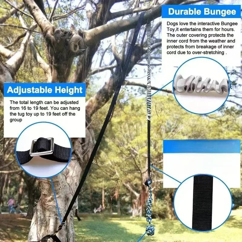 Outdoor Bungee Tug Toy, Dog Toy Hanging from Tree for Small to Large Dogs, Interactive Play Cord & Tether with Chew Rope - Path to Self-Improvement