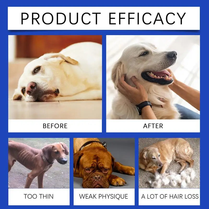 Dog Joint Supplement Pet Joint Relief Supplement Supplementing Nutrition Solution For Pet Health Nutrition Agent Pet Joint - Path to Self-Improvement