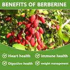 Berberine with Cinnamon, Bitter Melon Supplement - for Immune System, Digestive Health, Body Management & Energy Production