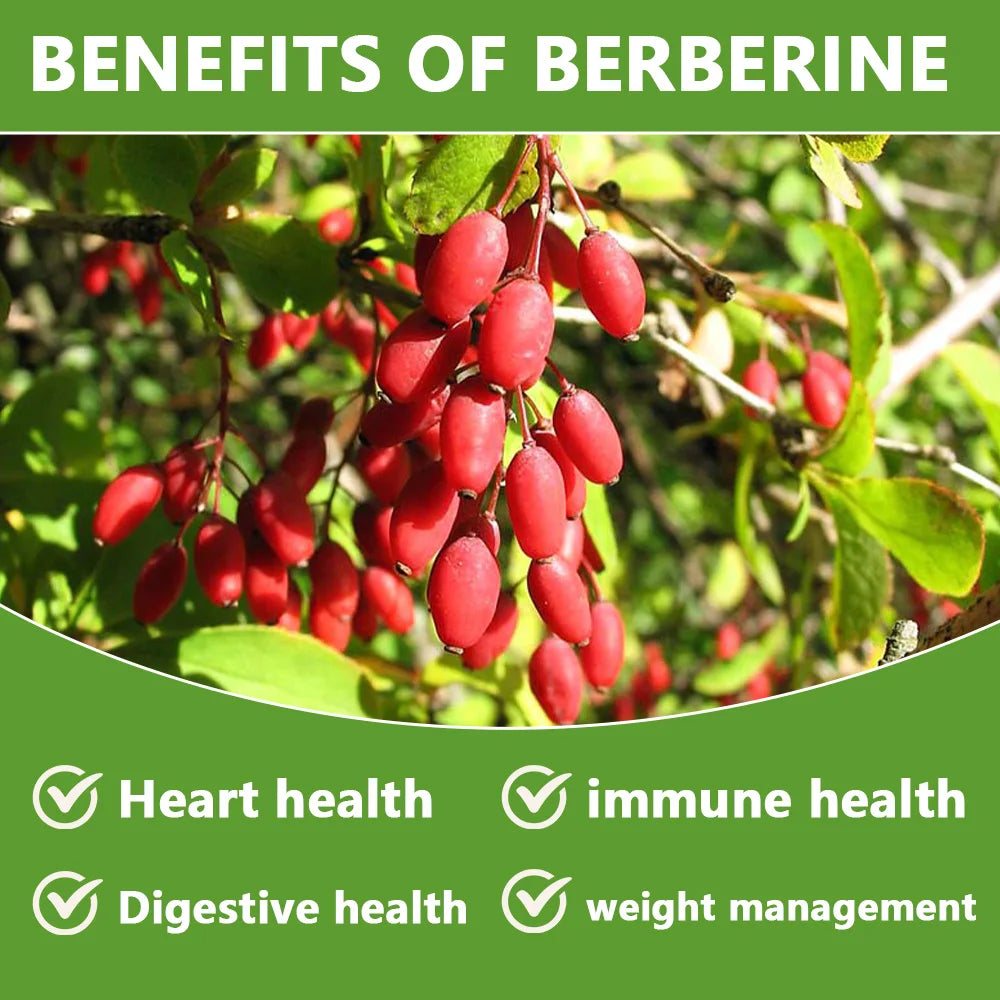 Berberine with Cinnamon, Bitter Melon Supplement - for Immune System, Digestive Health, Body Management & Energy Production