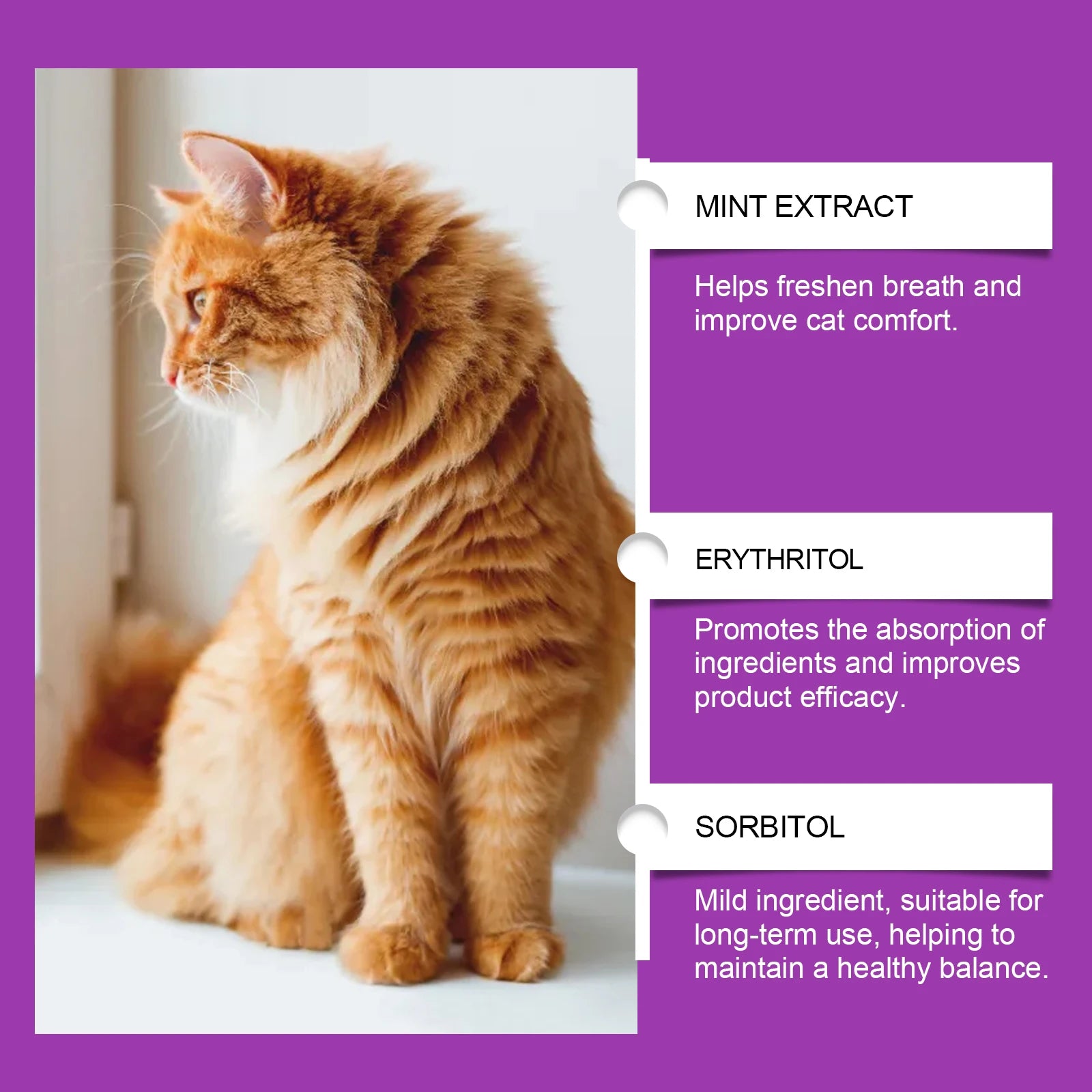 15-in-1 Pet Cat Vitamin Drops - Boost Cats' Immune System - Path to Self-Improvement