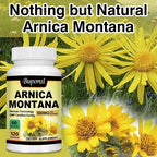 Arnica Montana Capsules - Suitable for Bruises and Swelling, Relieves Pain, Improves Mood, and Boosts Immunity - 120 Capsules - Path to Self-Improvement