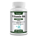 Vitamin B6 Supplements - Supports The Immune System, Nervous System, Energy Metabolism, Healthy Mood - Path to Self-Improvement