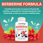 Berberine Capsules - 2000mg, Supports Bone and Cardiovascular Health, Promotes Metabolism, Helps with Energy, Immune System