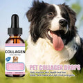 Pet Collagen Drops For Dogs And Cats Healthy Nutritional Supplement Protect Coat Enhance Body Condition Pet Nutritional Solution - Path to Self-Improvement