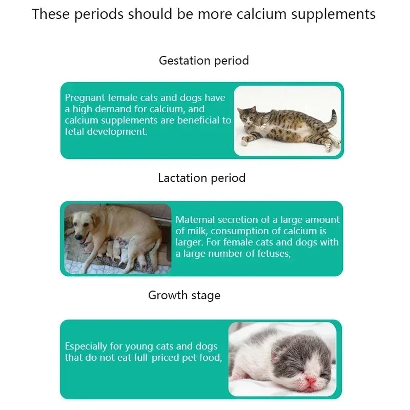 Pet Chondroitin large bone calcium Tablets 180 tablets joint Shu nutritional supplements for dogs daily health care - Path to Self-Improvement