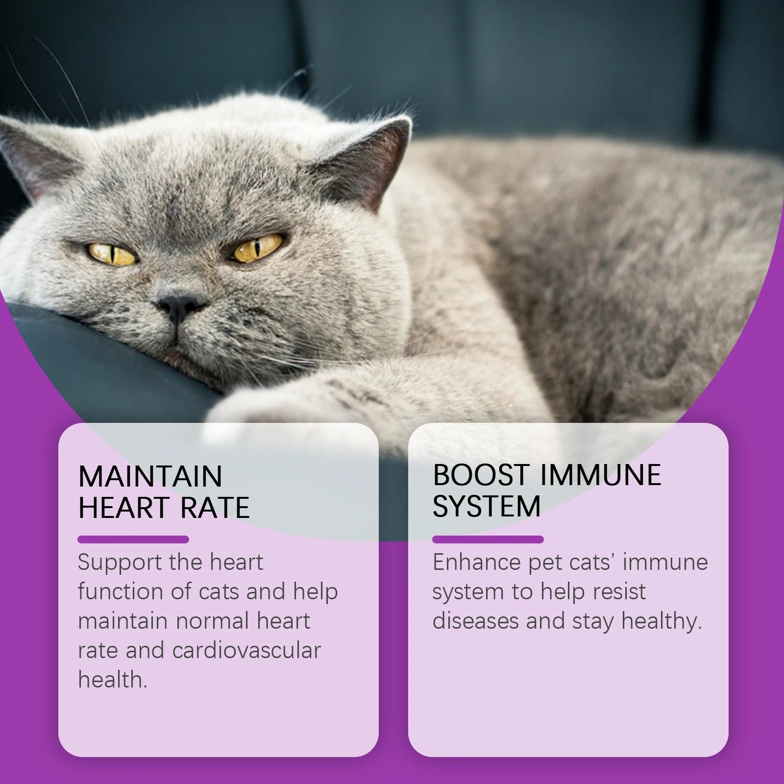 15-in-1 Pet Cat Vitamin Drops - Boost Cats' Immune System - Path to Self-Improvement