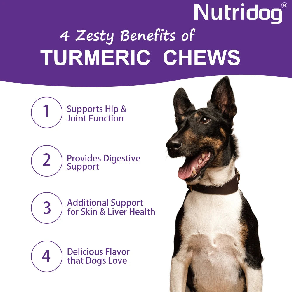 Turmeric Chews For Dog - Anti-Inflammatory Joint Care with Glucosamine & Chondroitin - Path to Self-Improvement