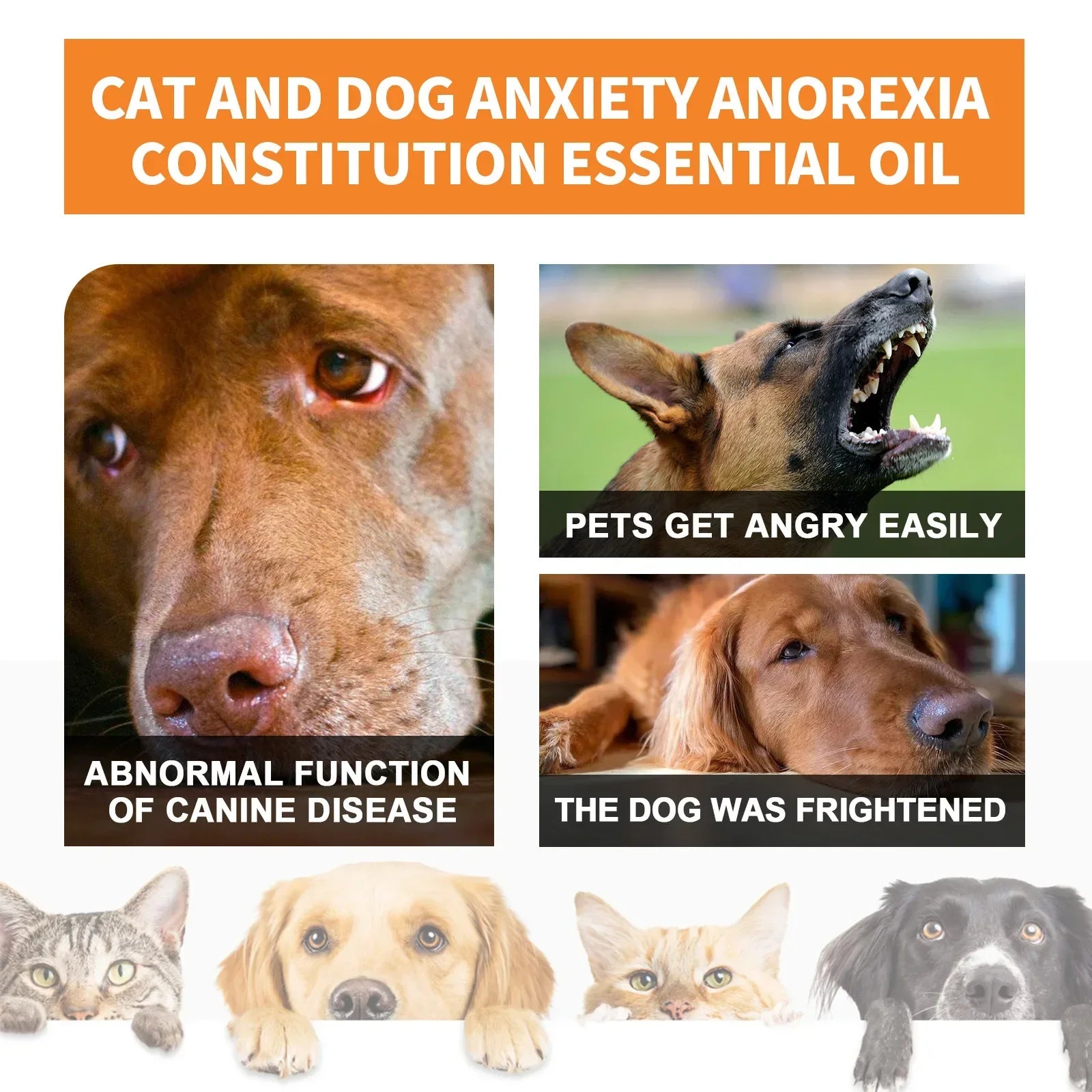 Natural Organic Calming Drops - Pet Anxiety Relief Blend Essential Oil For Dogs Cats - Path to Self-Improvement