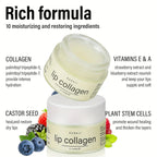 20g Plant stem cells Vitamins E & A Collagen Lip Butter - Path to Self-Improvement