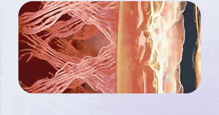 Multifunctional Full-Body Fascia Ring,Fascia Gun Massage Ring With Belt For Fat Burning&Shaping Weight Loss Body Shaping Instrum - Path to Self-Improvement